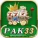 pak33 game