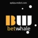 Betwhale Game