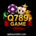 q789 game logo