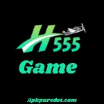 x555 game logo